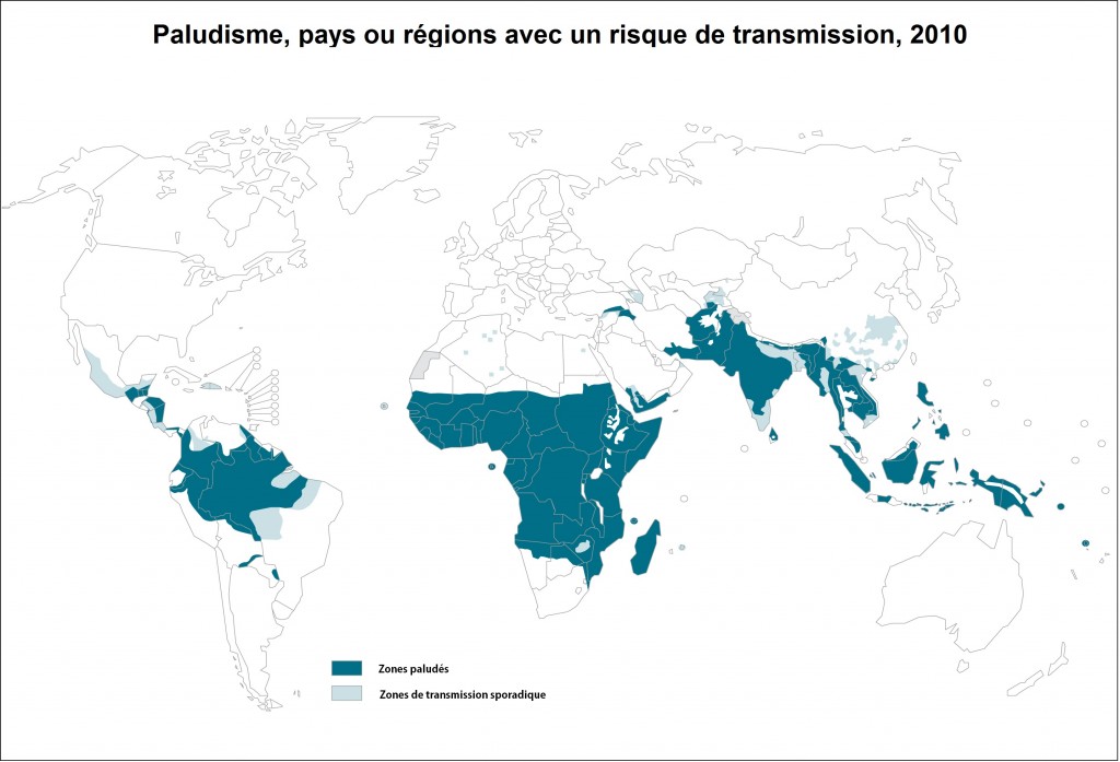 Carte Paludisme