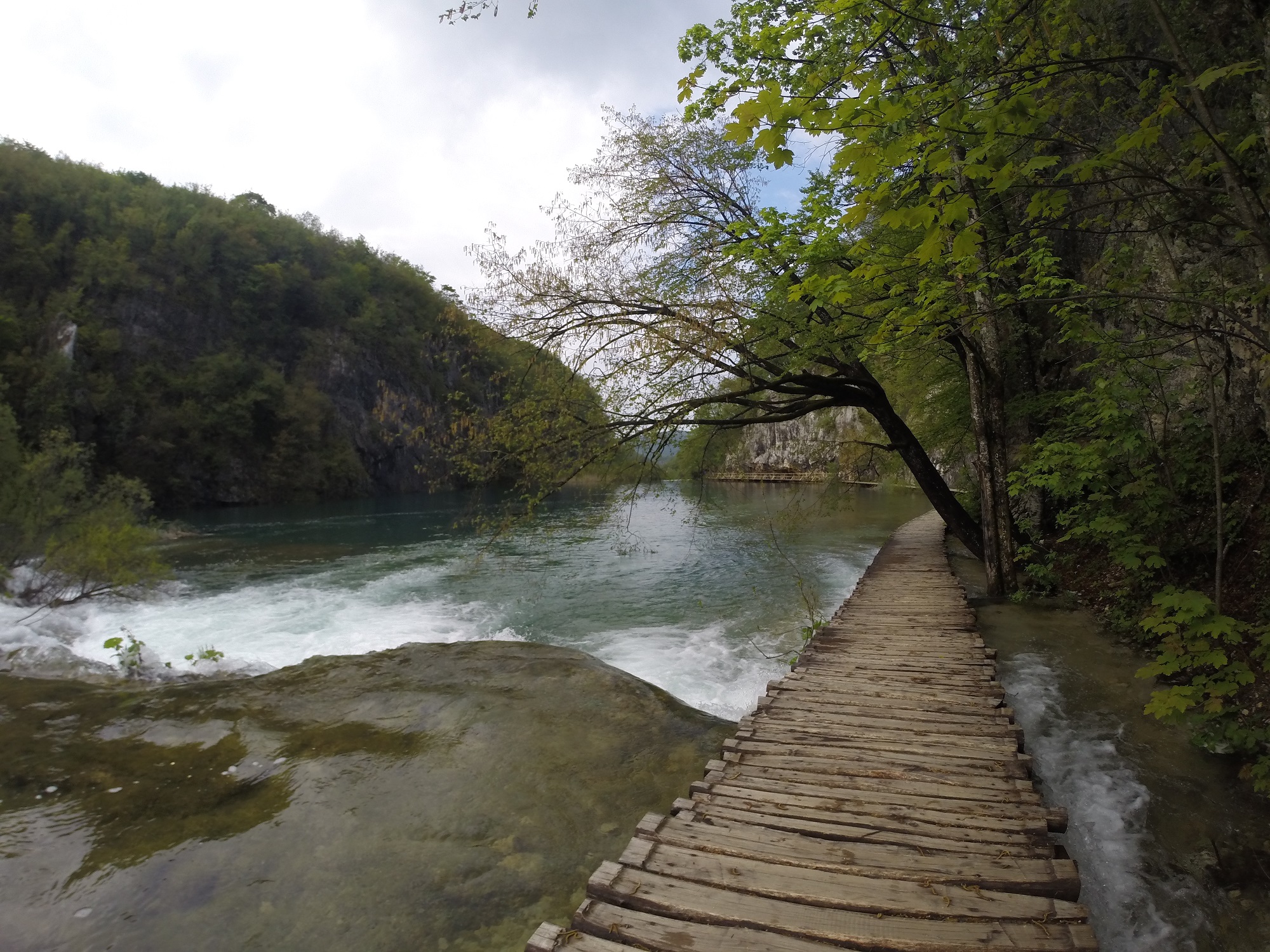DCIM101GOPRO