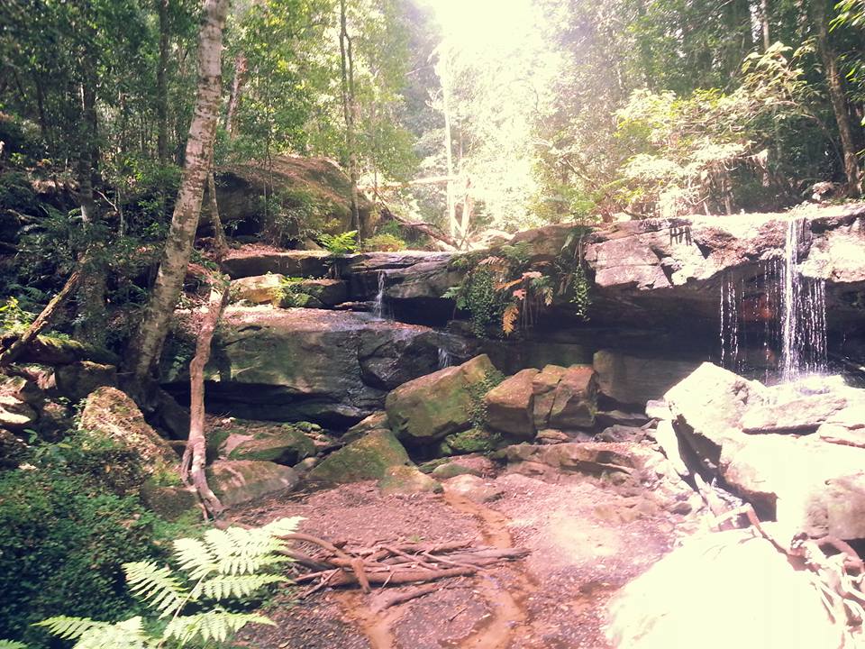 Trek chute