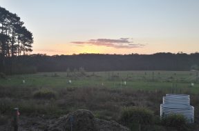 20181030_191759
